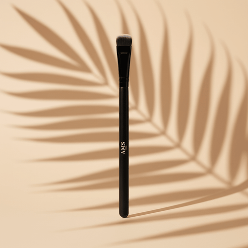 AMS Brush – Fond beige chaud, ombres palmier