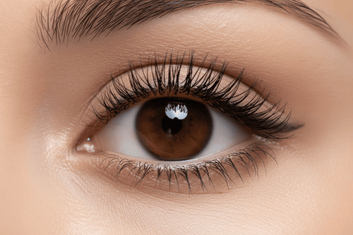 AMS Cosmetics – On-Eye Application