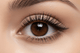 AMS Cosmetics – On-Eye Application